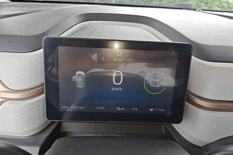 Used SOL E10X 2022 Flower Fairy Design Four-Leaf Clover Instrument Cluster