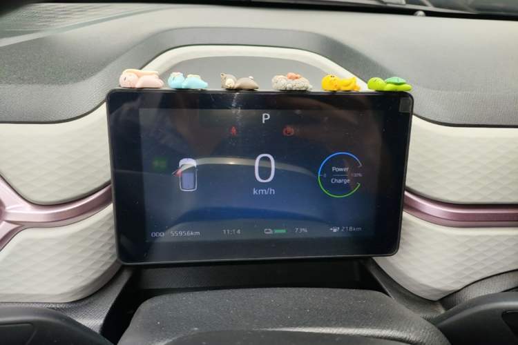 Used SOL E10X 2022 Flower Fairy Design Four-Leaf Clover Instrument Cluster