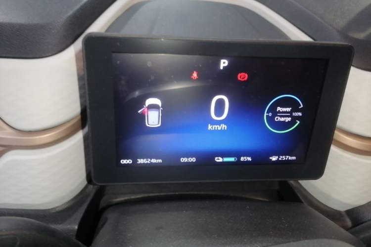Used SOL E10X 2022 Flower Fairy Design Four-Leaf Clover Instrument Cluster