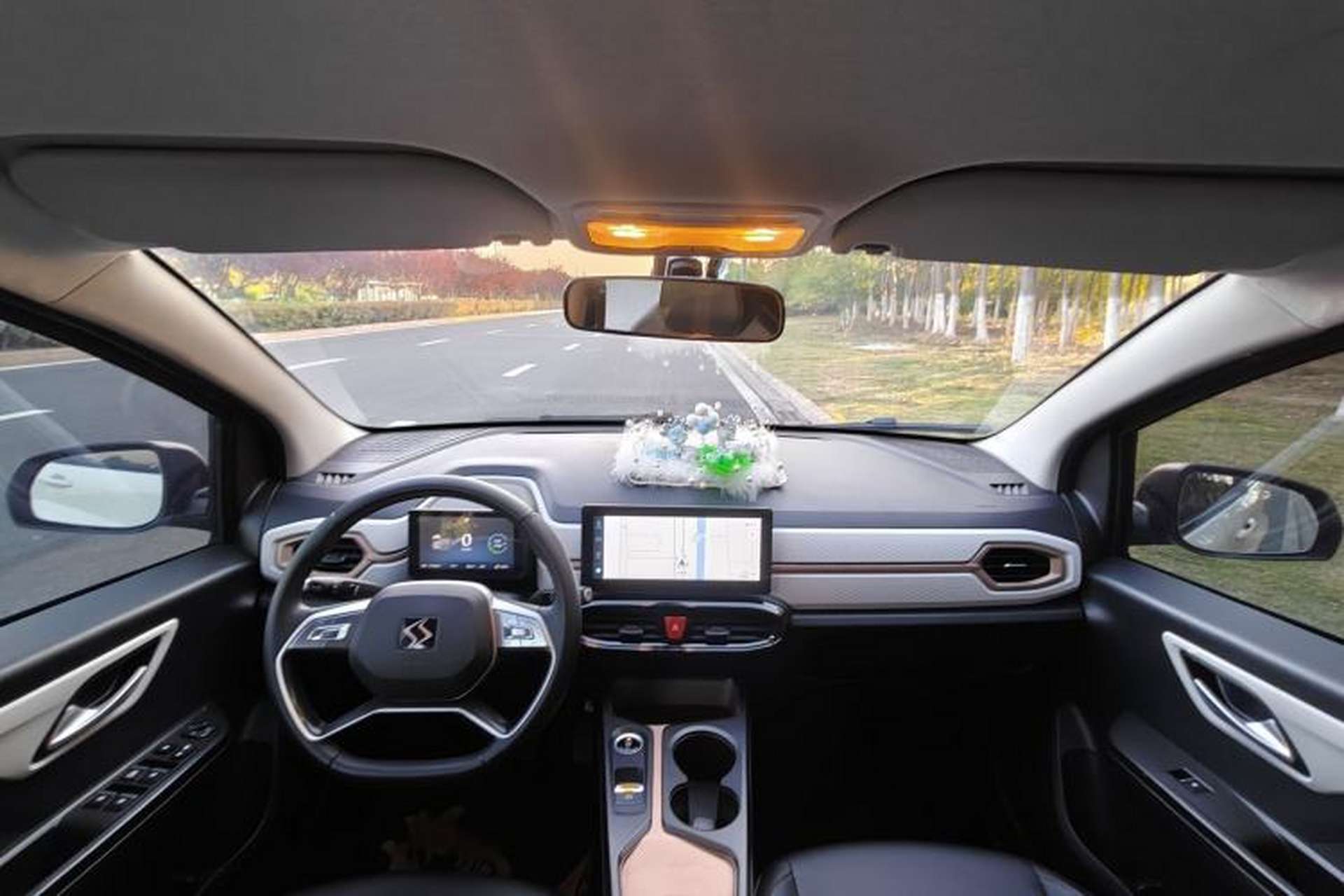 Used SOL E10X 2022 Flower Fairy Style Baby's Breath Interior 4