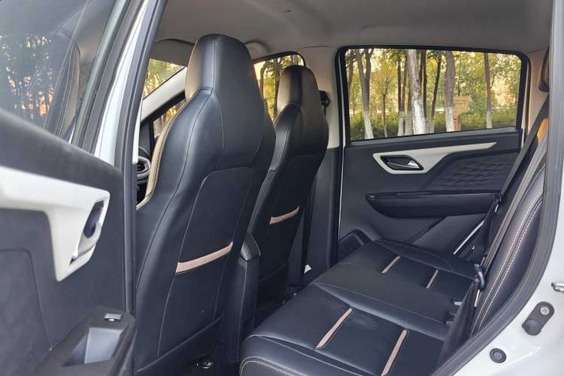 Used SOL E10X 2022 Flower Fairy Style Baby's Breath Interior 5