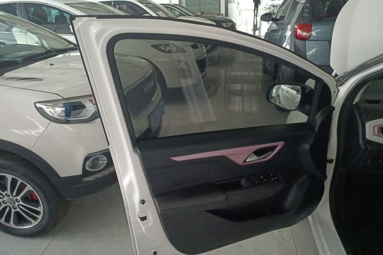 Used SOL E10X 2022 Flower Fairy Style Baby's Breath Left Front Door Interior