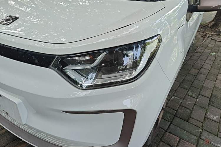 Used SOL E10X 2022 Flower Fairy Style Baby's Breath Left Front Headlight