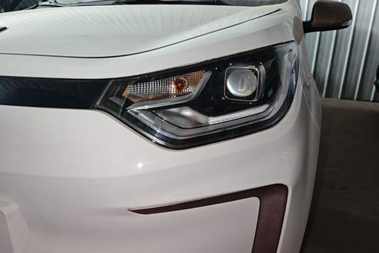 Used SOL E10X 2022 Flower Fairy Style Baby's Breath Left Front Headlight