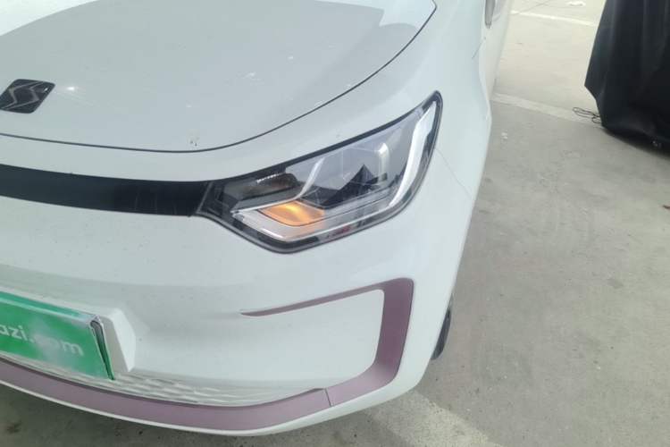 Used SOL E10X 2022 Flower Fairy Style Baby's Breath Left Front Headlight