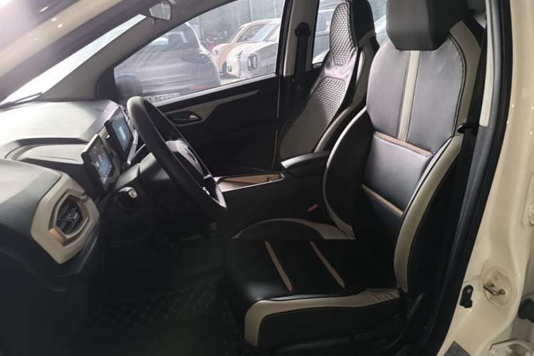 Used SOL E10X 2022 Flower Fairy Style Baby's Breath Left Front Seat
