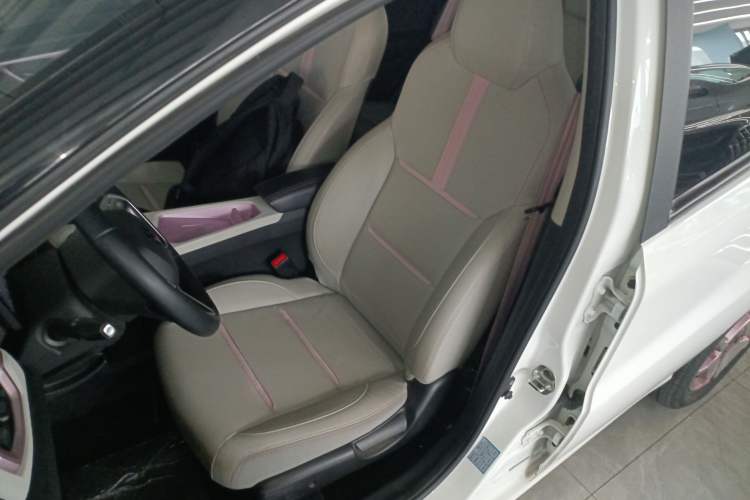 Used SOL E10X 2022 Flower Fairy Style Baby's Breath Left Front Seat