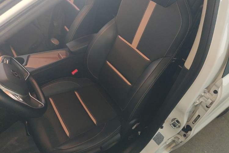 Used SOL E10X 2022 Flower Fairy Style Baby's Breath Left Front Seat