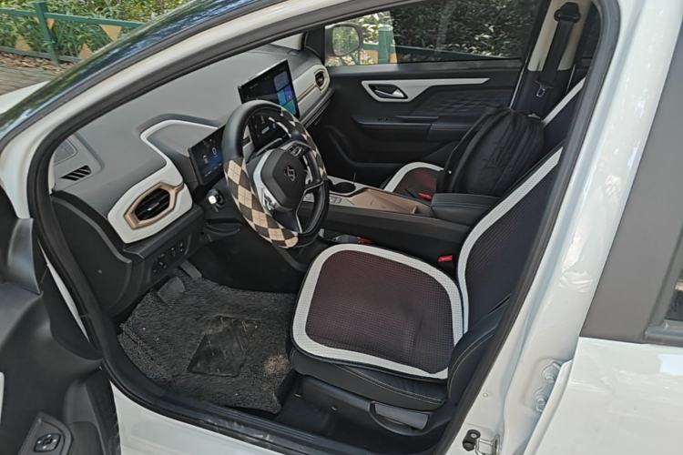 Used SOL E10X 2022 Flower Fairy Style Baby's Breath Left Front Seat