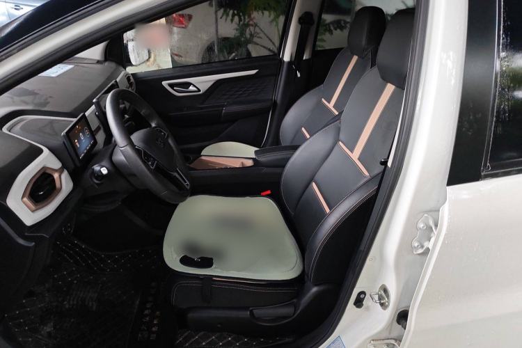 Used SOL E10X 2022 Flower Fairy Design Dandelion Left Front Seat