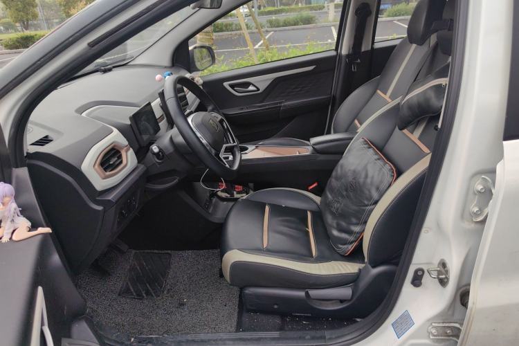 Used SOL E10X 2022 Flower Fairy Style Baby's Breath Left Front Seat