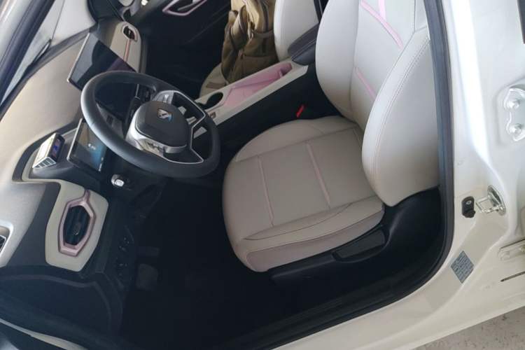 Used SOL E10X 2022 Flower Fairy Style Baby's Breath Left Front Seat