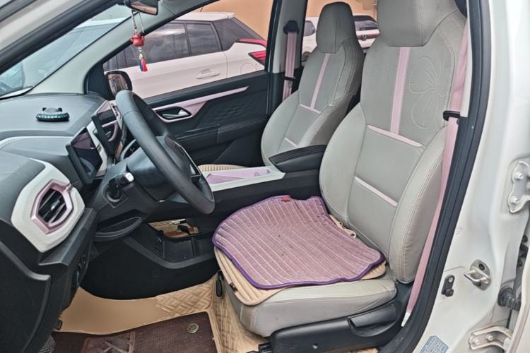 Used SOL E10X 2022 Flower Fairy Design Four-Leaf Clover Left Front Seat