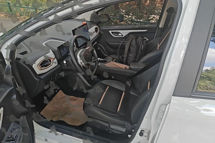Used SOL E10X 2022 Flower Fairy Style Baby's Breath Left Front Seat