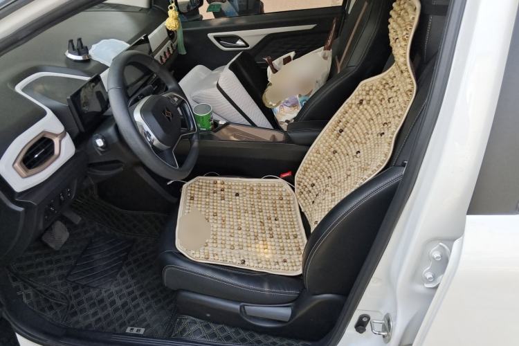 Used SOL E10X 2022 Flower Fairy Design Four-Leaf Clover Left Front Seat