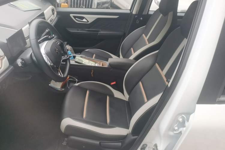 Used SOL E10X 2022 Flower Fairy Style Baby's Breath Left Front Seat