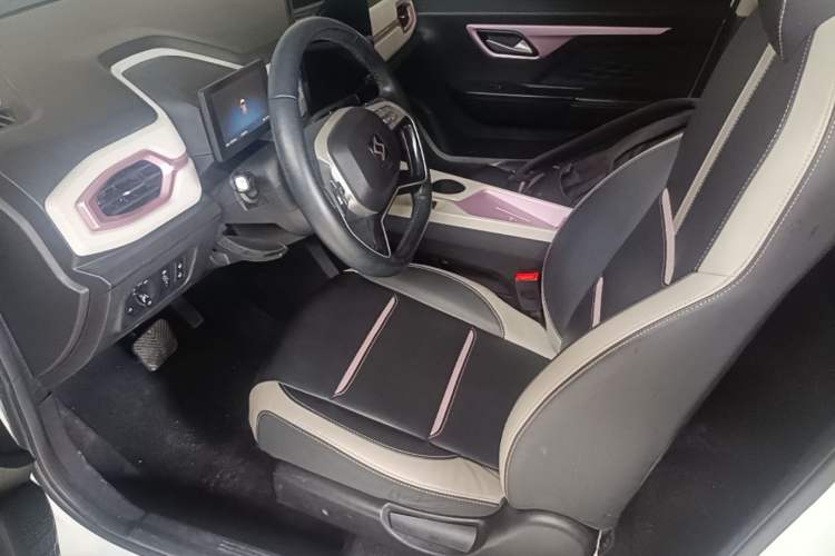 Used SOL E10X 2022 Flower Fairy Style Baby's Breath Left Front Seat