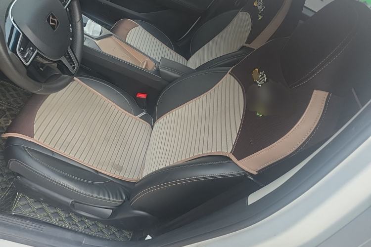 Used SOL E10X 2022 Flower Fairy Design Dandelion Left Front Seat
