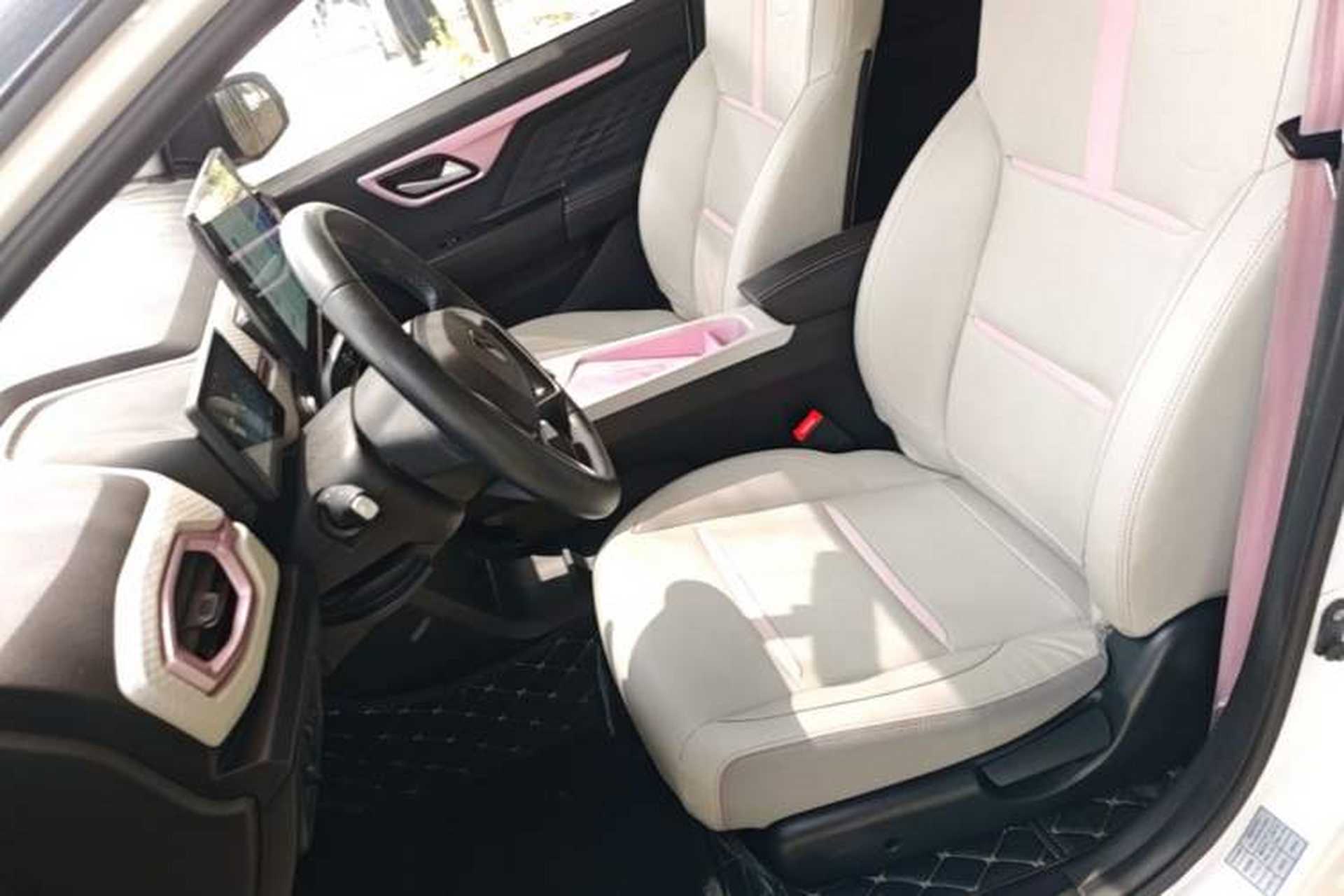 Used SOL E10X 2022 Flower Fairy Style Baby's Breath Left Front Seat
