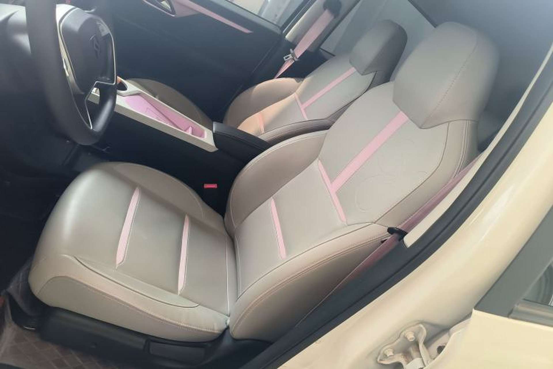 Used SOL E10X 2022 Flower Fairy Design Four-Leaf Clover Left Front Seat