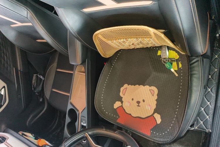 Used SOL E10X 2022 Flower Fairy Design Four-Leaf Clover Left Front Seat