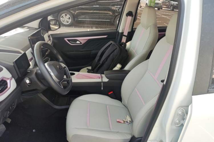 Used SOL E10X 2022 Flower Fairy Design Sunflower Left Front Seat