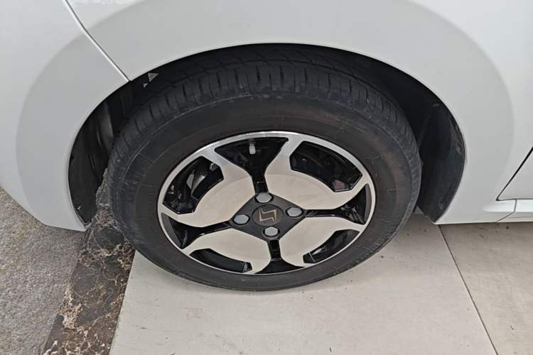 Used SOL E10X 2022 Flower Fairy Style Baby's Breath Left Front Wheel Hub