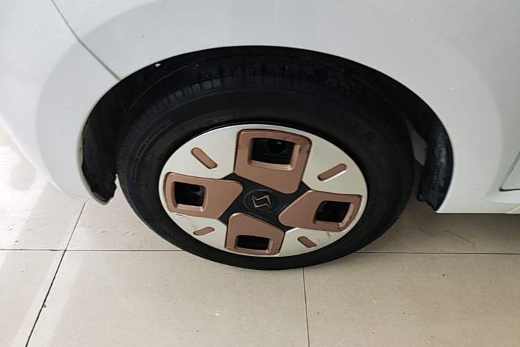 Used SOL E10X 2022 Flower Fairy Design Dandelion Left Front Wheel Hub