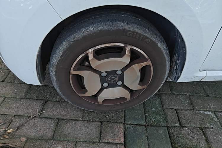 Used SOL E10X 2022 Flower Fairy Style Baby's Breath Left Front Wheel Hub