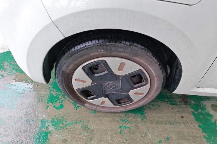 Used SOL E10X 2022 Flower Fairy Design Dandelion Left Front Wheel Hub
