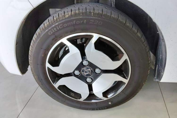 Used SOL E10X 2022 Flower Fairy Style Baby's Breath Left Front Wheel Hub