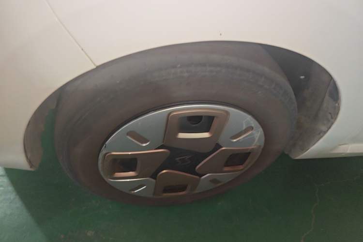 Used SOL E10X 2022 Flower Fairy Design Dandelion Left Front Wheel Hub