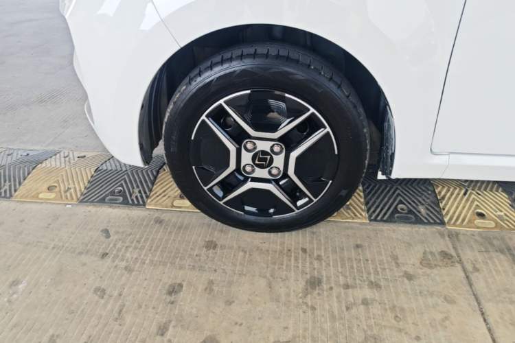 Used SOL E10X 2022 Flower Fairy Design Four-Leaf Clover Left Front Wheel Hub
