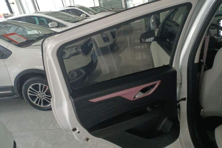 Used SOL E10X 2022 Flower Fairy Style Baby's Breath Left Rear Door Interior