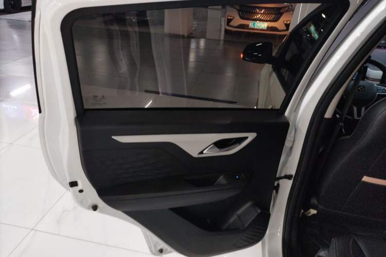 Used SOL E10X 2022 Flower Fairy Design Dandelion Left Rear Door Interior