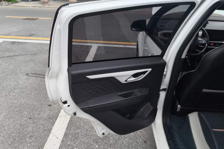 Used SOL E10X 2022 Flower Fairy Style Baby's Breath Left Rear Door Interior
