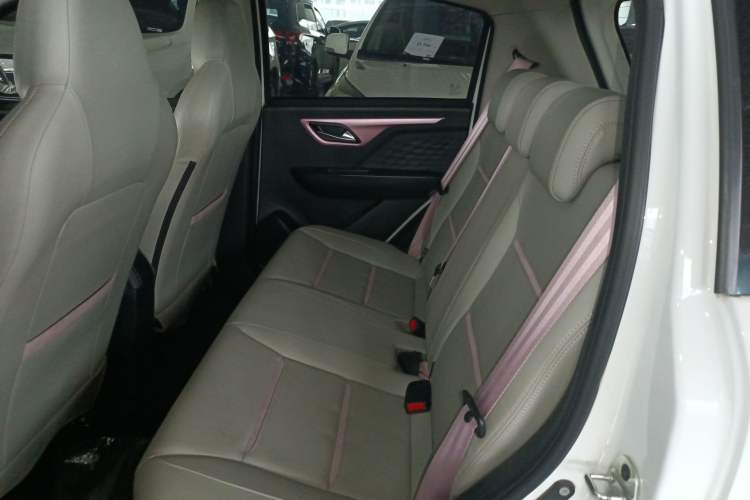 Used SOL E10X 2022 Flower Fairy Style Baby's Breath Left Rear Seat