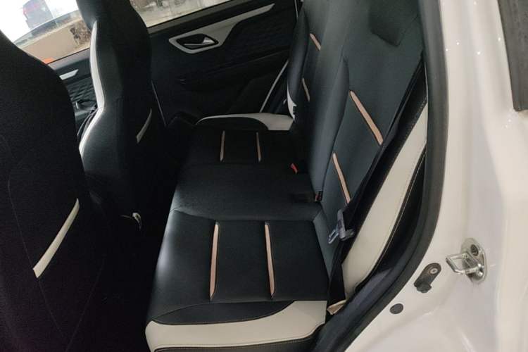 Used SOL E10X 2022 Flower Fairy Design Dandelion Left Rear Seat