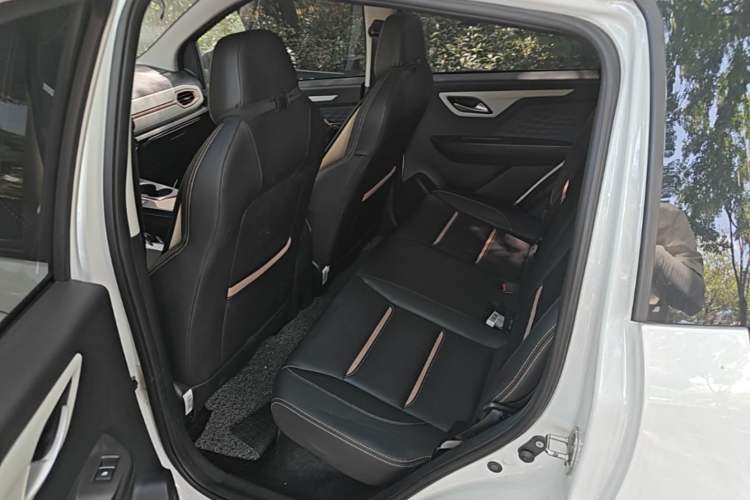 Used SOL E10X 2022 Flower Fairy Style Baby's Breath Left Rear Seat