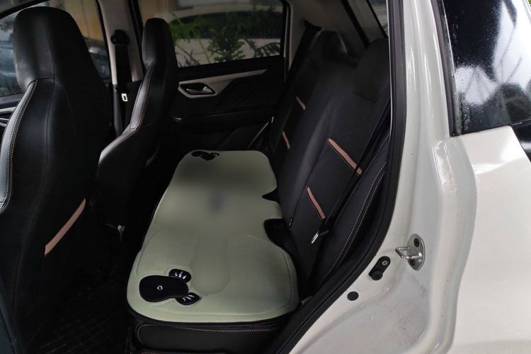 Used SOL E10X 2022 Flower Fairy Design Dandelion Left Rear Seat