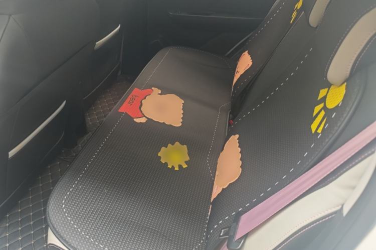 Used SOL E10X 2022 Flower Fairy Design Four-Leaf Clover Left Rear Seat