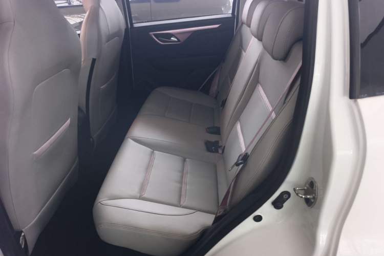 Used SOL E10X 2022 Flower Fairy Design Four-Leaf Clover Left Rear Seat