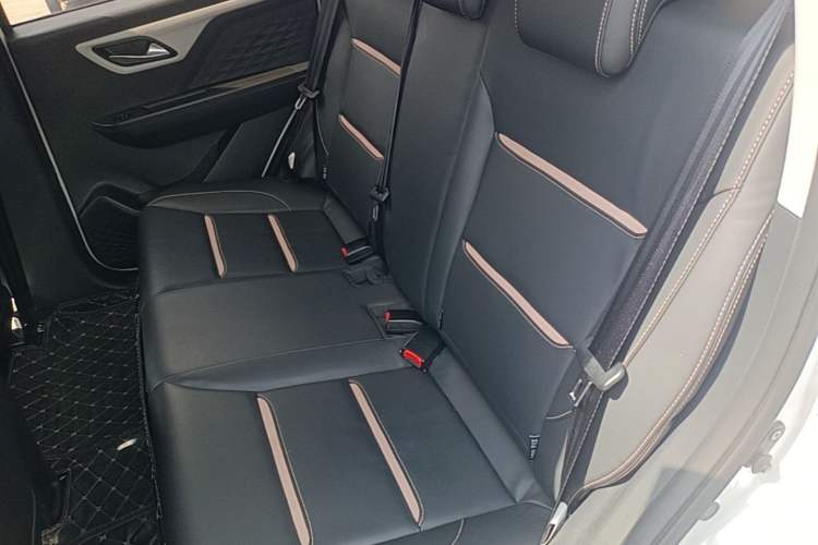 Used SOL E10X 2022 Flower Fairy Design Four-Leaf Clover Left Rear Seat