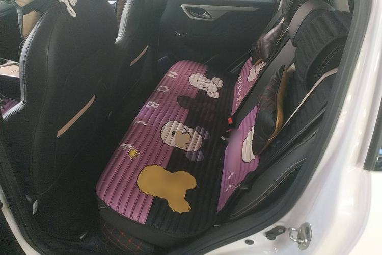 Used SOL E10X 2022 Flower Fairy Design Sunflower Left Rear Seat