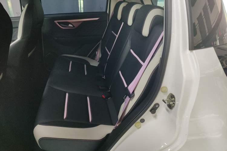 Used SOL E10X 2022 Flower Fairy Design Four-Leaf Clover Left Rear Seat