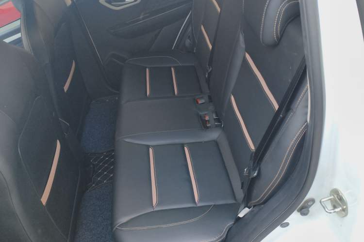 Used SOL E10X 2022 Flower Fairy Design Four-Leaf Clover Left Rear Seat