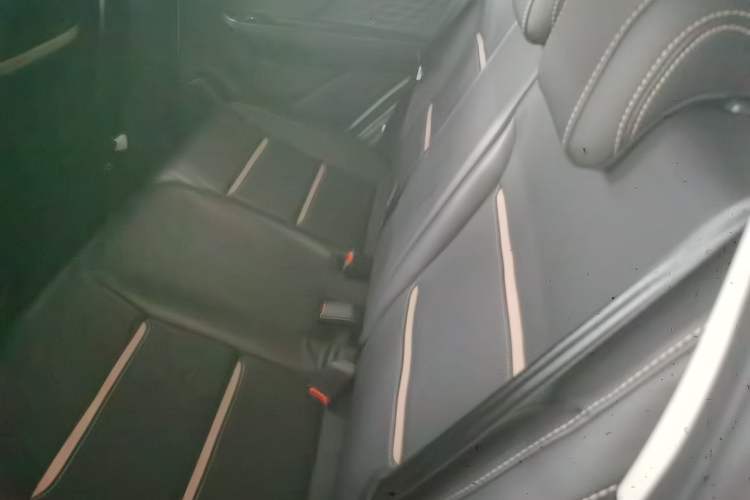 Used SOL E10X 2022 Flower Fairy Design Four-Leaf Clover Left Rear Seat