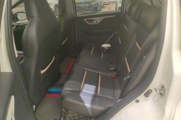 Used SOL E10X 2022 Flower Fairy Design Sunflower Left Rear Seat