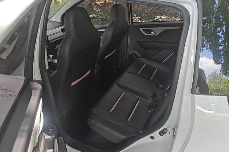 Used SOL E10X 2022 Flower Fairy Style Baby's Breath Left Rear Seat
