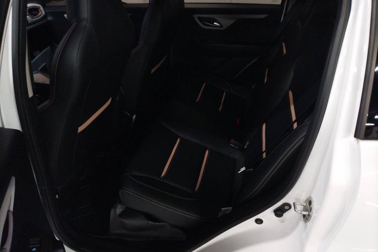 Used SOL E10X 2022 Flower Fairy Design Dandelion Left Rear Seat
